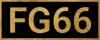 FG66 COM logo
